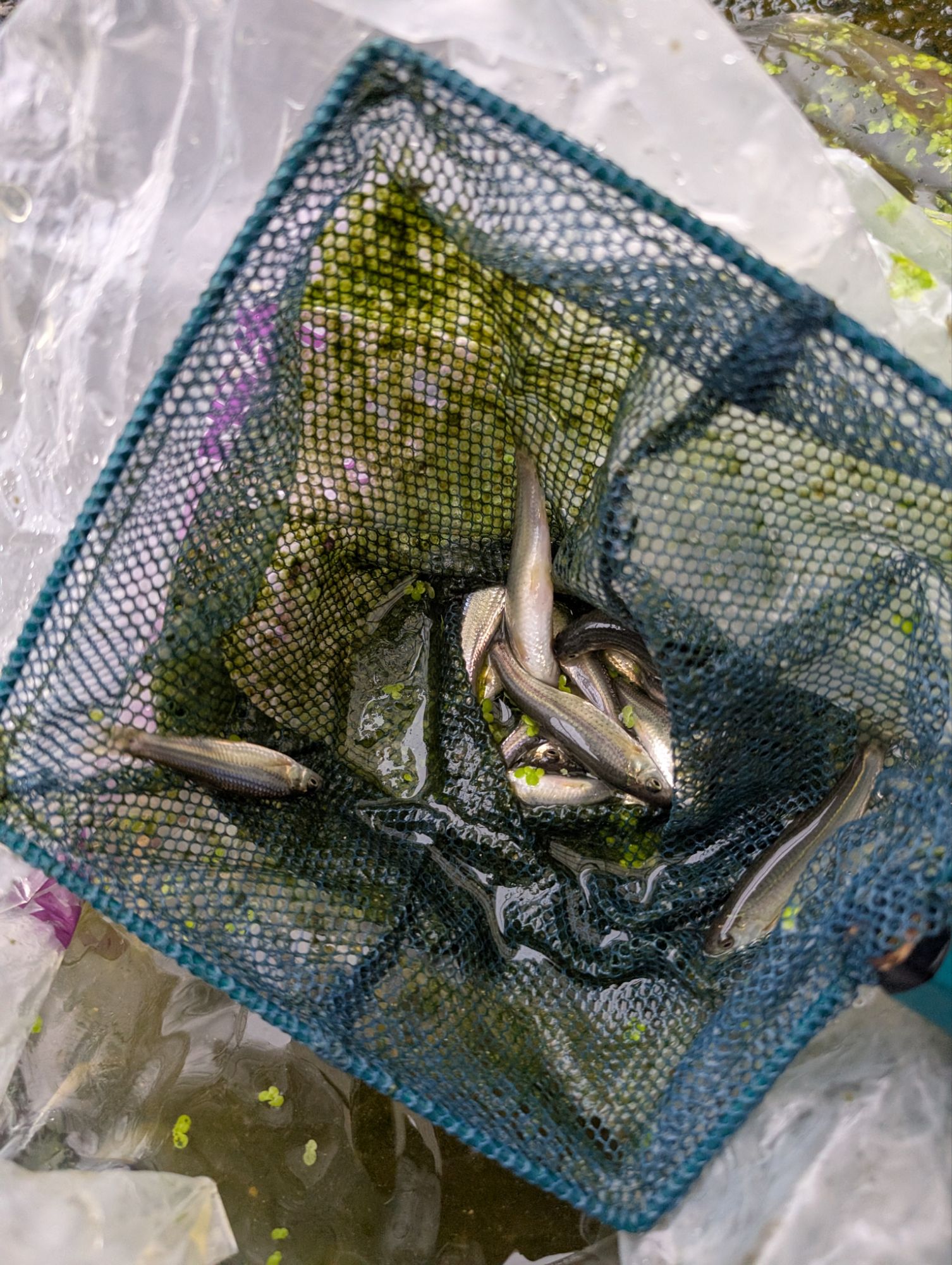 pxl_20251104_0502147127031829183291432162