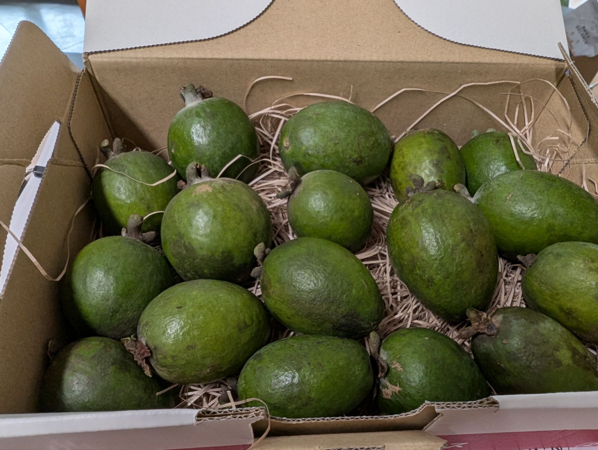 pxl_20251104_0627425353555878709189930963